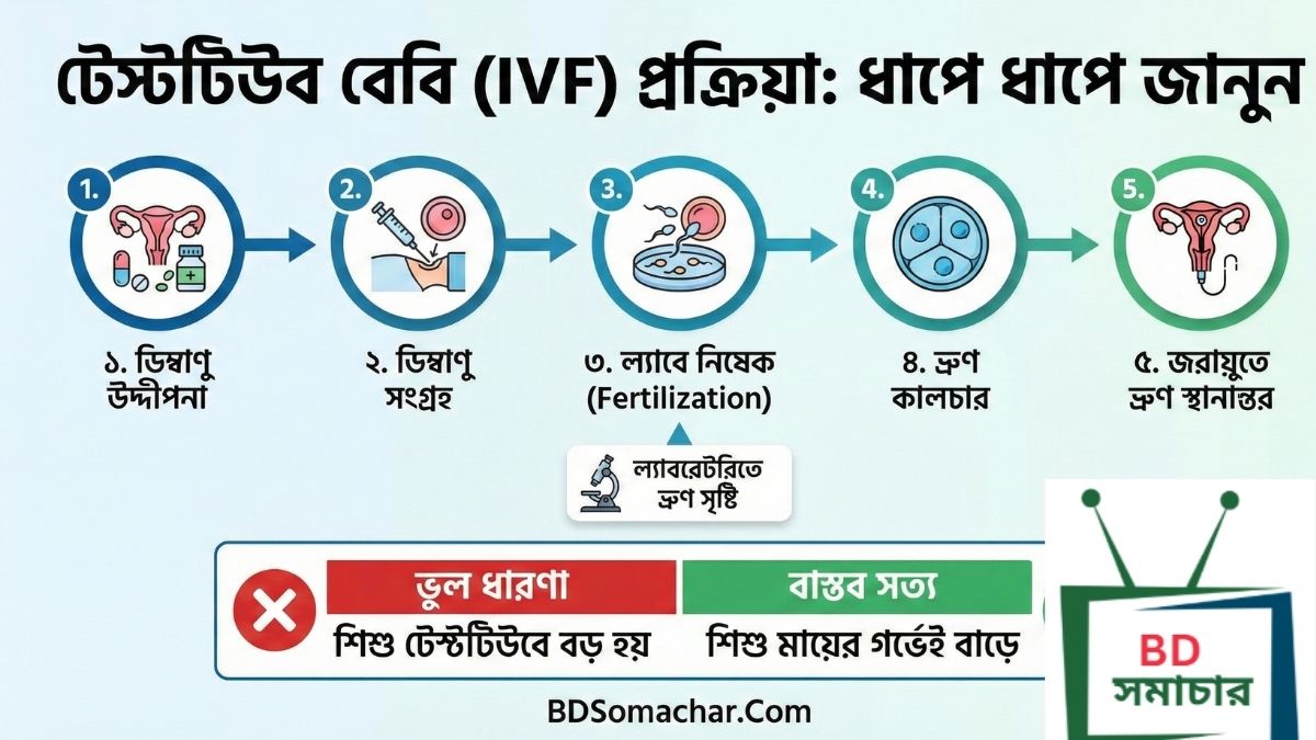 টেস্টটিউব বেবি আসলে কী