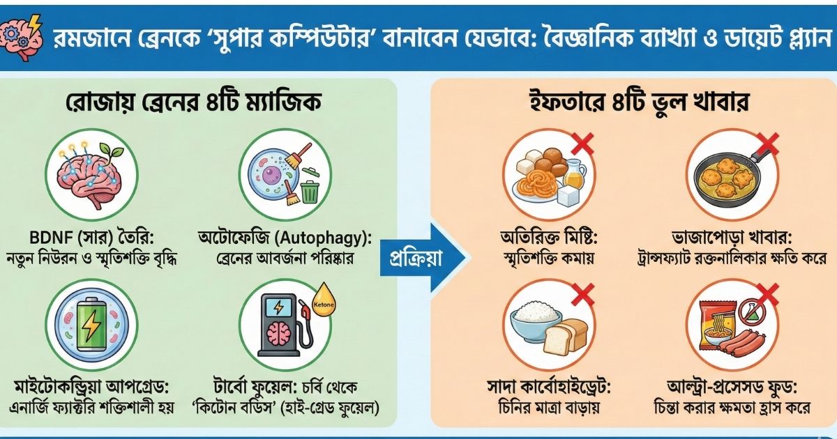 রমজানে ব্রেনকে 'সুপার কম্পিউটার' বানাবেন যেভাবে বৈজ্ঞানিক ব্যাখ্যা ও ডায়েট প্ল্যান